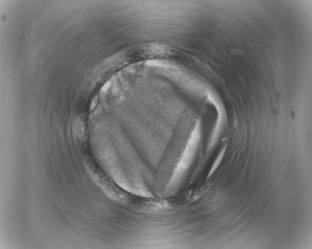 X0000052570715200507292006