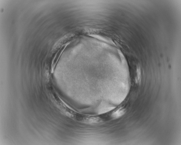 X0000052570716200507292006