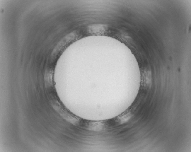 X0000052570717200507292006