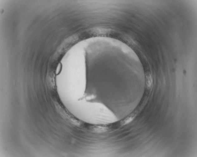 X0000052570718200507292006