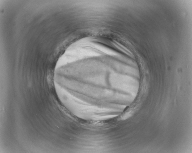 X0000052570720200507292006