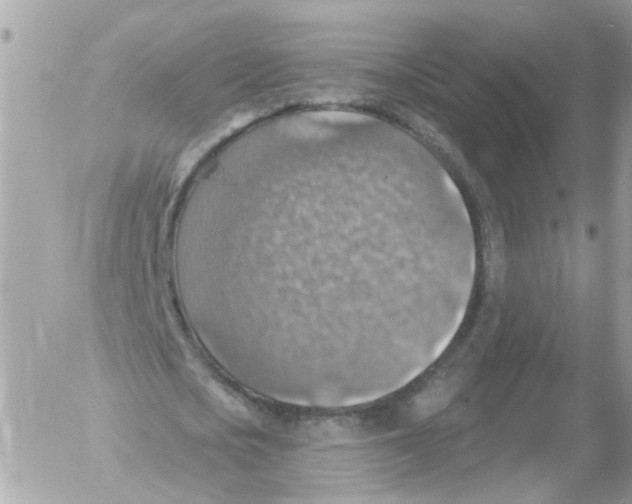 X0000052570721200507292005