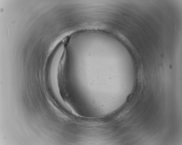 X0000052570722200507292005