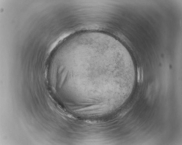 X0000052570723200507292005