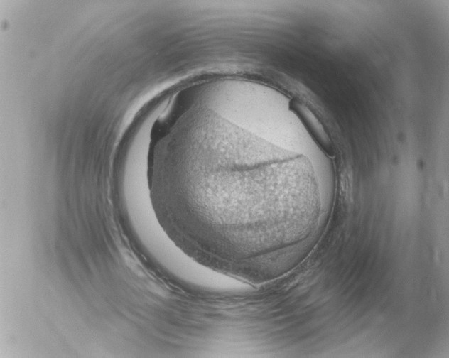 X0000052570724200507292005