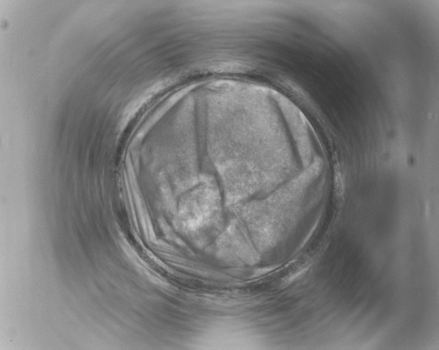 X0000052570725200507292005