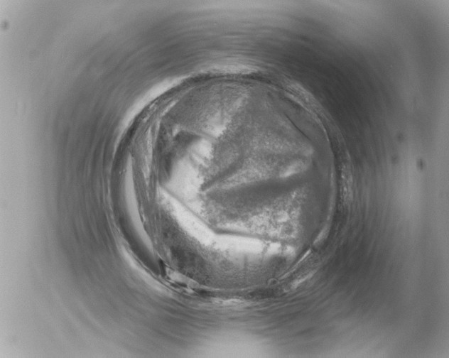 X0000052570726200507292006