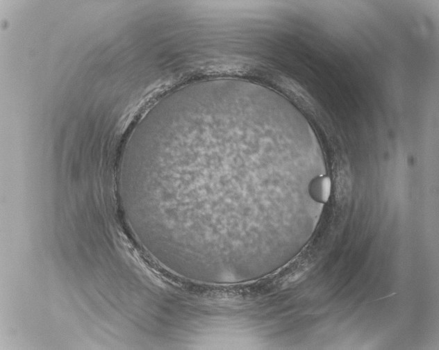 X0000052570729200507292006