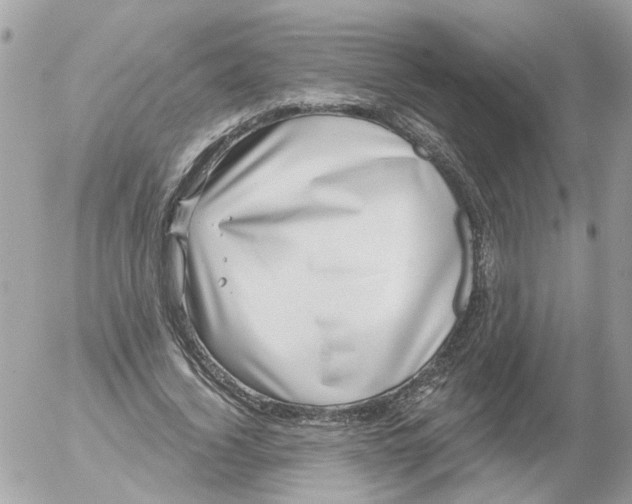 X0000052570732200507292006