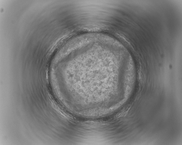 X0000052570733200507292006