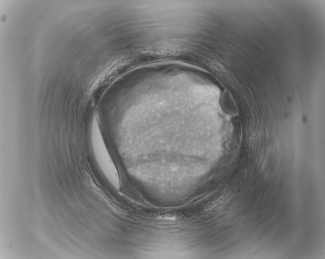 X0000052570735200507292006