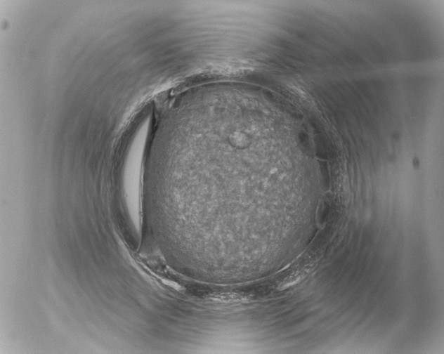 X0000052570736200507292006