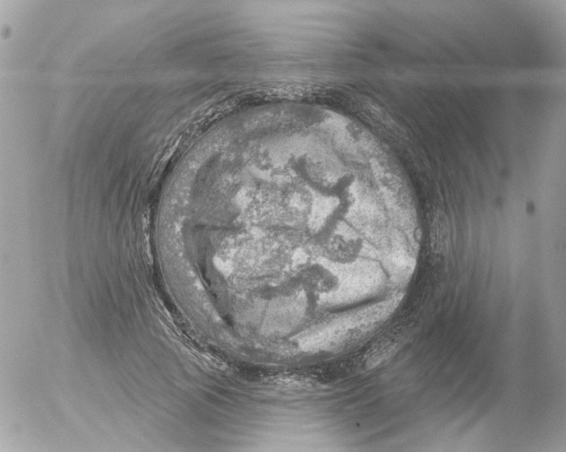 X0000052570737200507292006