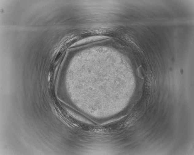 X0000052570738200507292006