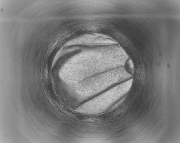 X0000052570739200507292006