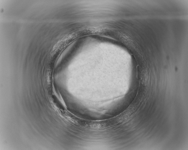 X0000052570740200507292006