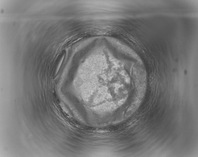 X0000052570741200507292006