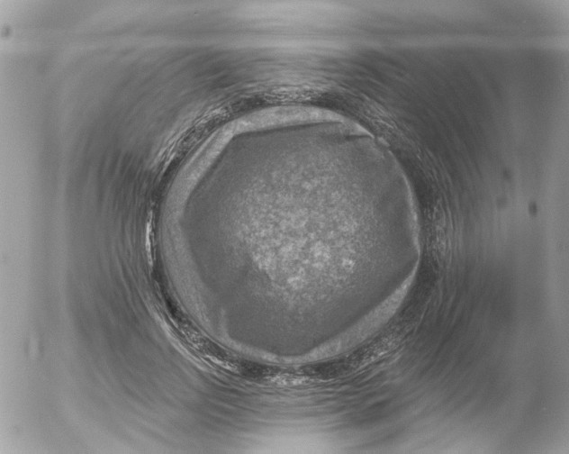 X0000052570742200507292006