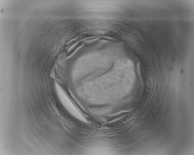 X0000052570743200507292006