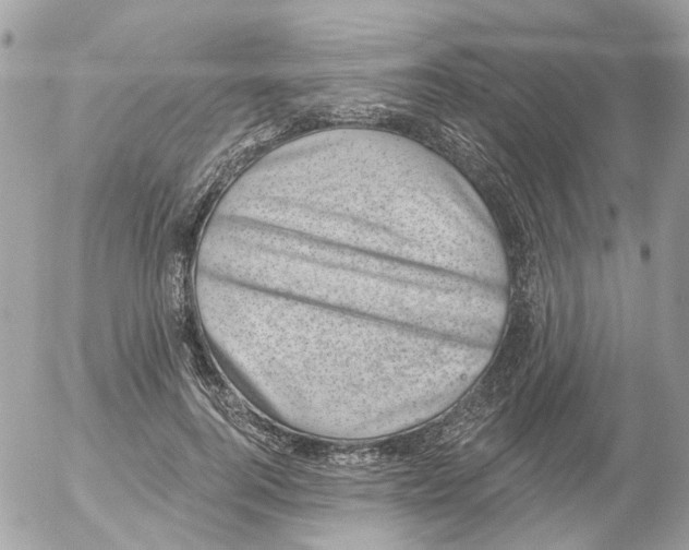 X0000052570744200507292006