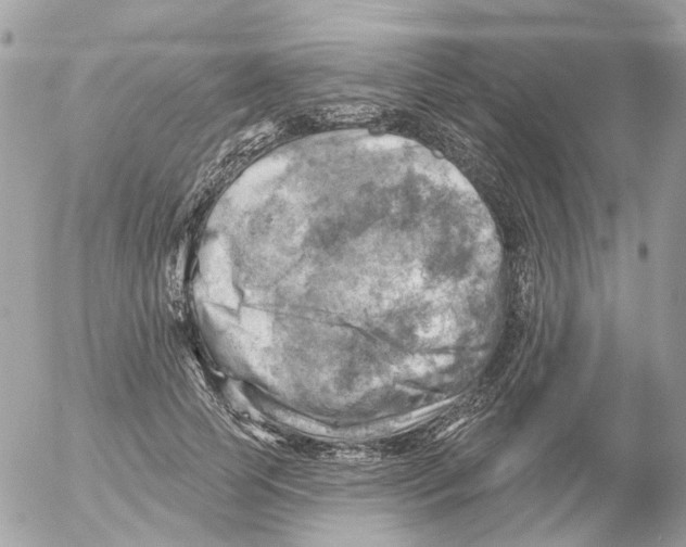 X0000052570745200507292006