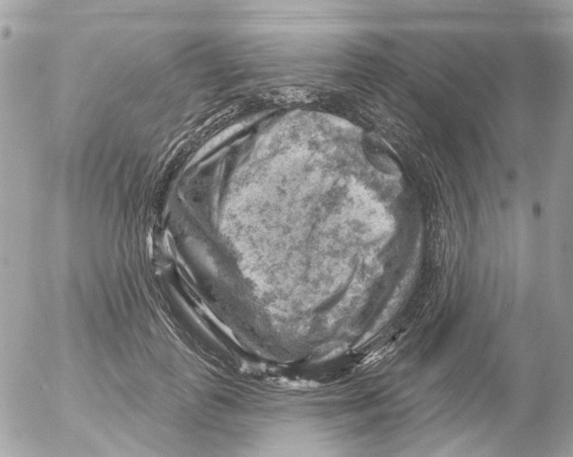 X0000052570747200507292006