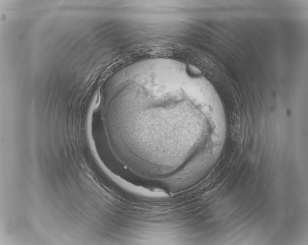 X0000052570748200507292006