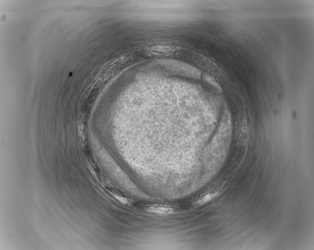 X0000052570749200507292006