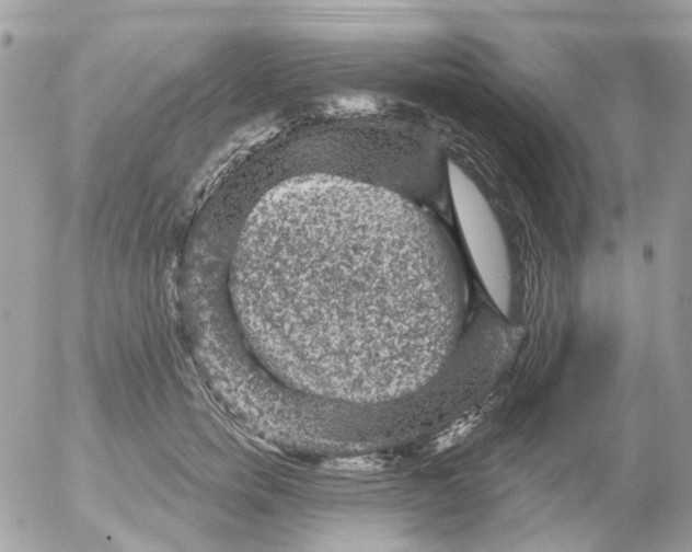 X0000052570750200507292006