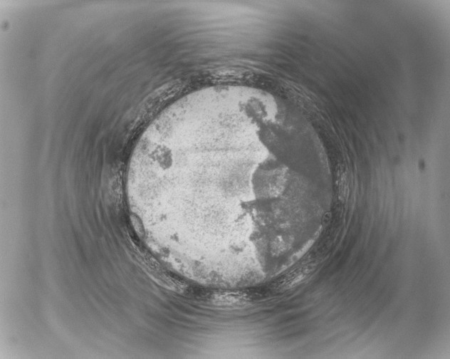 X0000052570753200507292006