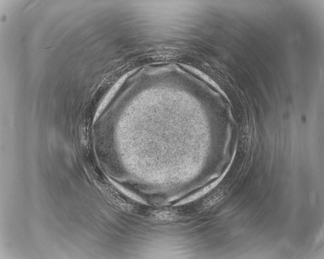 X0000052570755200507292006