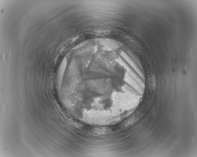 X0000052570757200507292006