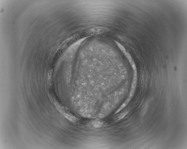 X0000052570759200507292006