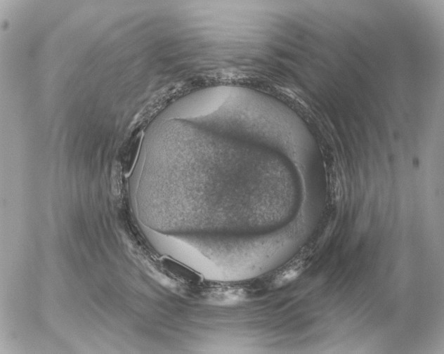 X0000052570760200507292006