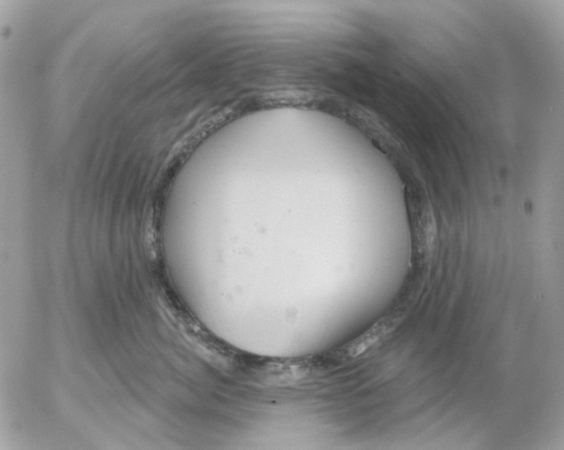 X0000052570764200507292006