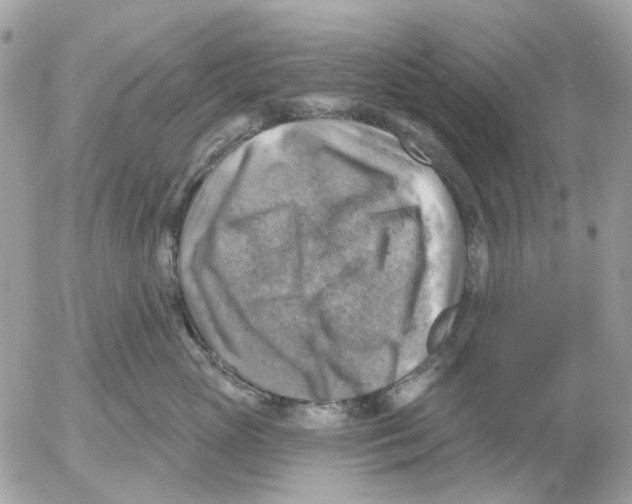 X0000052570765200507292006