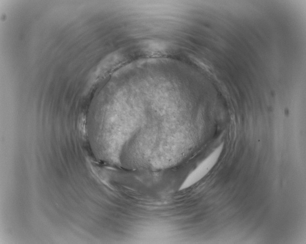 X0000052570766200507292006