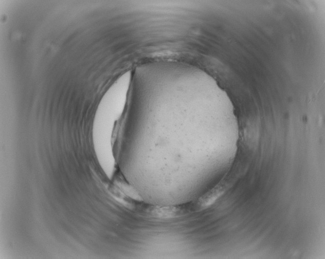 X0000052570767200507292006