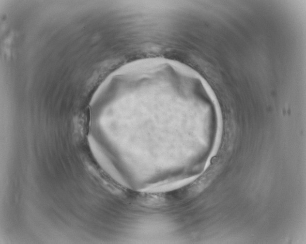 X0000052570768200507292006