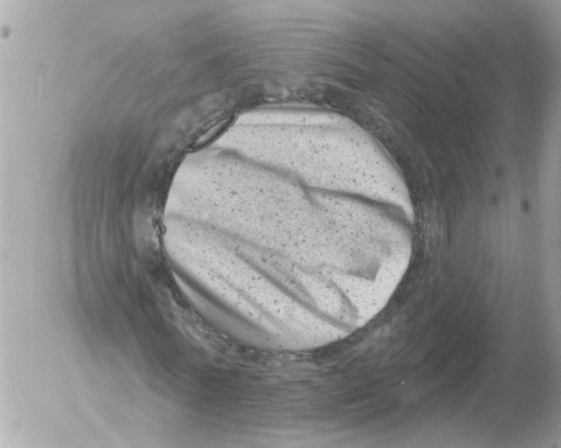 X0000052570770200507292005