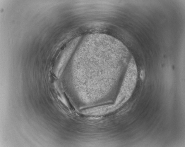 X0000052570771200507292005