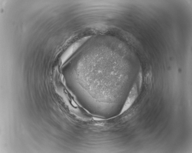 X0000052570772200507292005