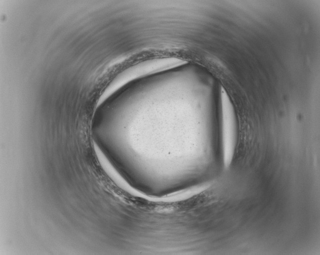 X0000052570773200507292005