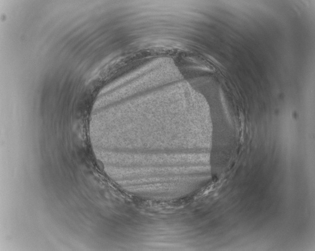 X0000052570774200507292005