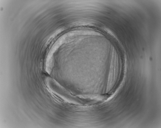 X0000052570777200507292005