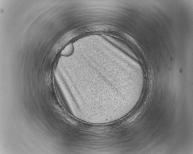 X0000052570778200507292005