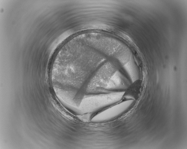 X0000052570780200507292005