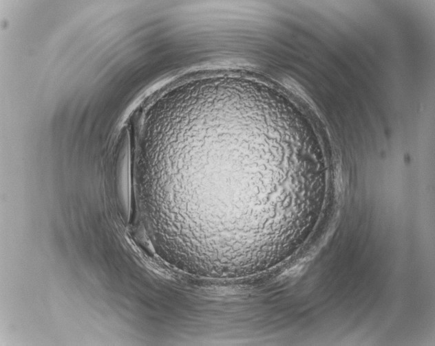 X0000052570781200507292005