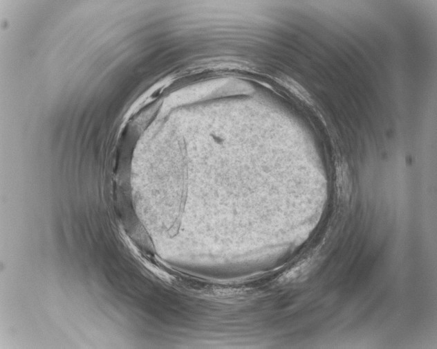 X0000052570782200507292005