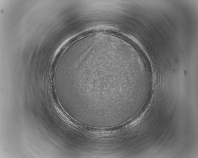 X0000052570783200507292005